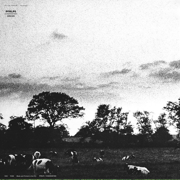 Pink Floyd - Atom Heart Mother