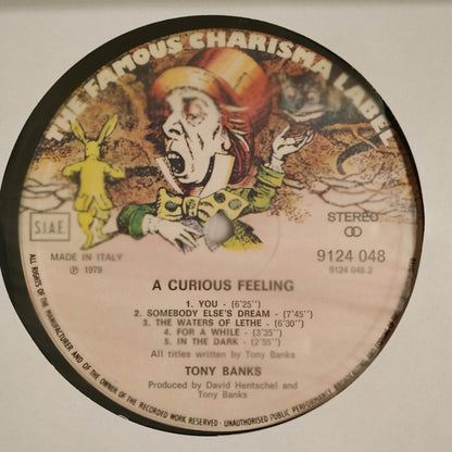 Tony Banks - A Curious Feeling