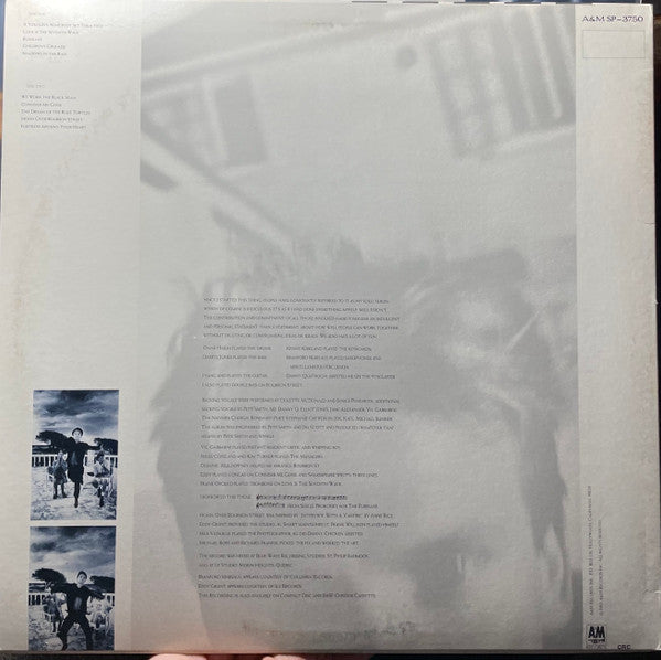 Sting - The Dream Of The Blue Turtles