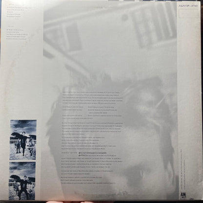 Sting - The Dream Of The Blue Turtles