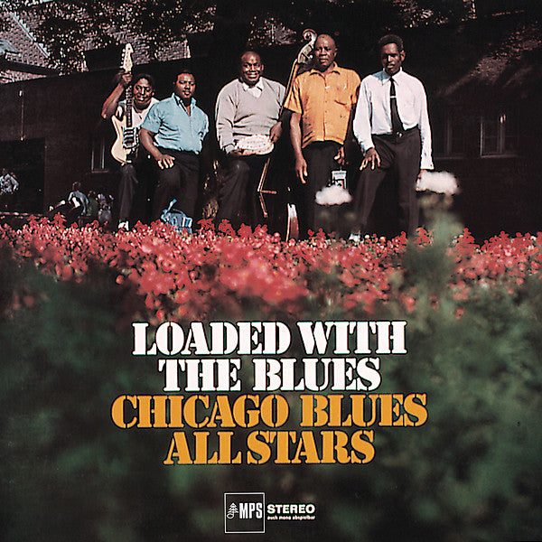 Chicago Blues All Stars - Loaded With The Blues