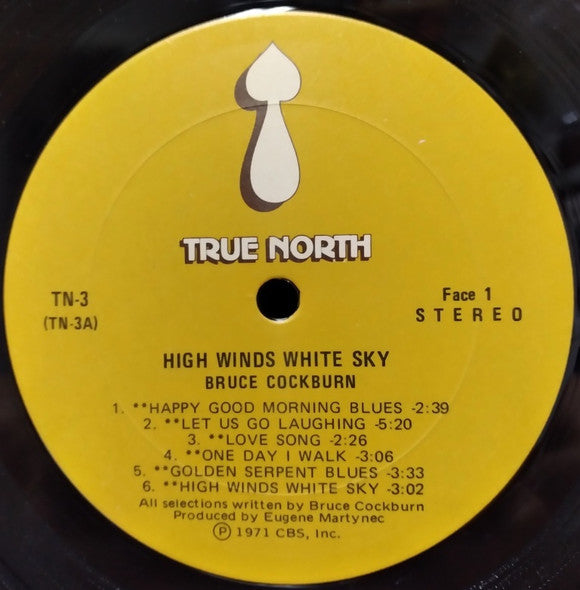 Bruce Cockburn - High Winds White Sky