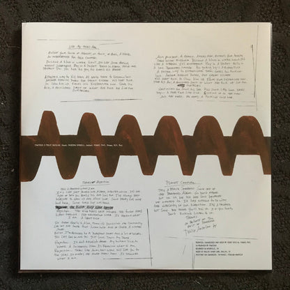 Pantera - Far Beyond Driven (nuovo)