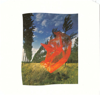 Pink Floyd - Wish You Were Here (nuovo)