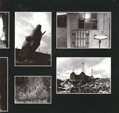 Pink Floyd - Animals (nuovo)