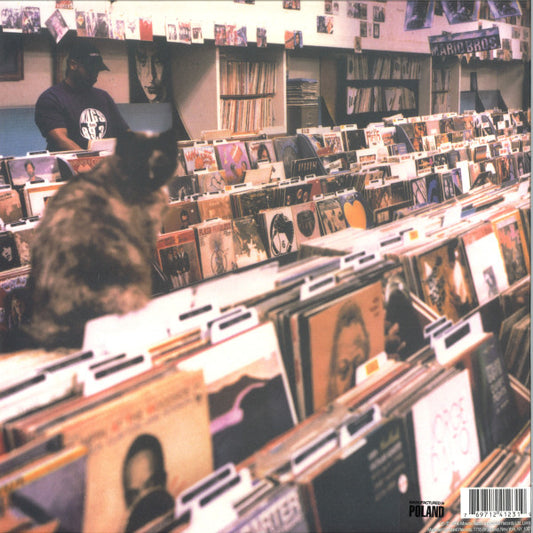 DJ Shadow - Endtroducing...