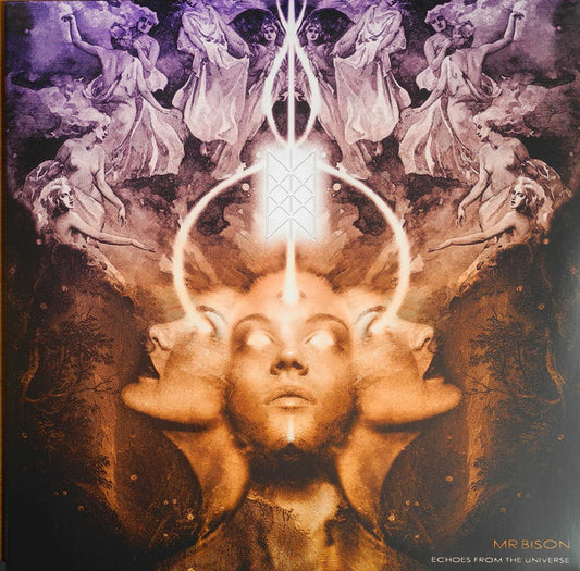Mr.Bison - Echoes From The Universe