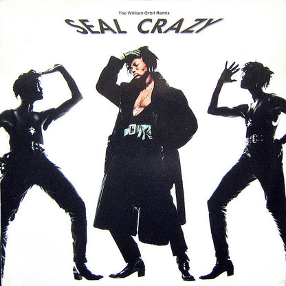Seal - Crazy (The William Orbit Remix)