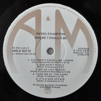 Peter Frampton - Where I Should Be