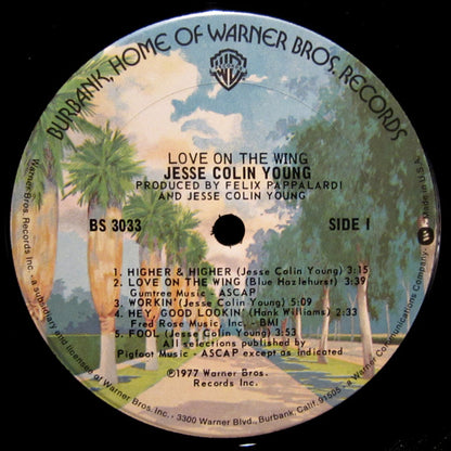 Jesse Colin Young - Love On The Wing