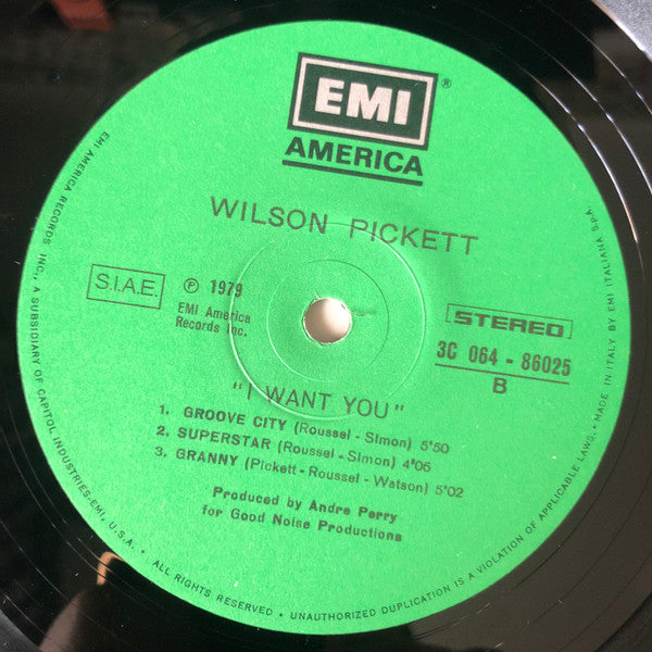 Wilson Pickett - I Want You