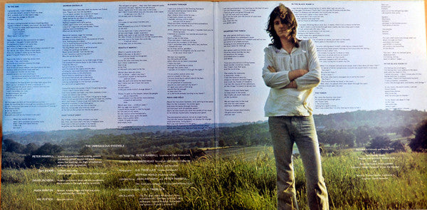 Peter Hammill - Chameleon In The Shadow Of The Night