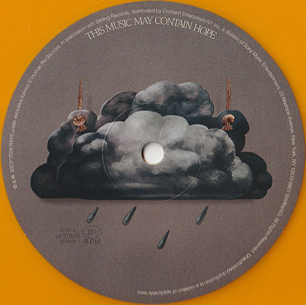 Raye - This Music May Contain Hope. (nuovo)
