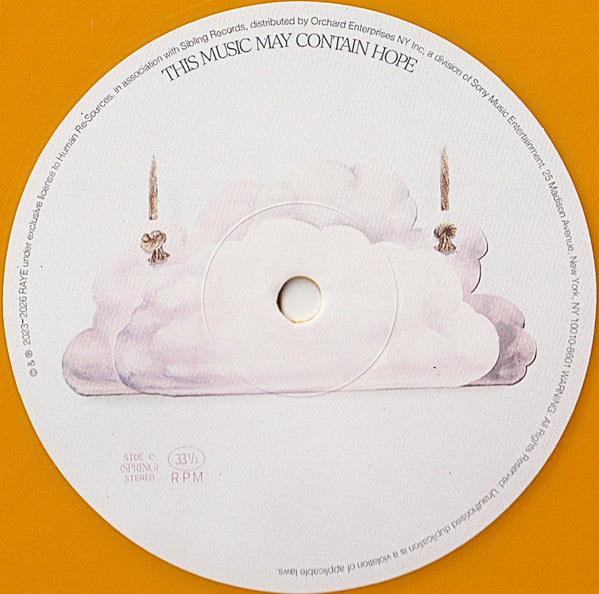 Raye - This Music May Contain Hope. (nuovo)