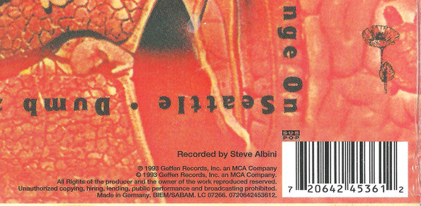 Nirvana - In Utero (nuovo)