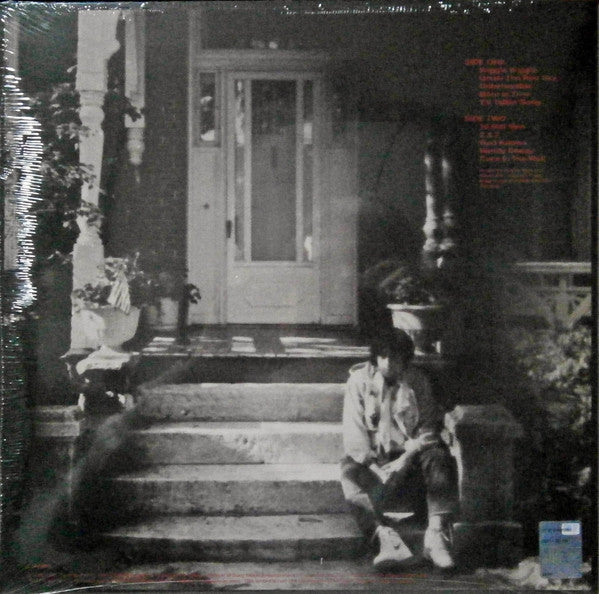 Bob Dylan - Under The Red Sky