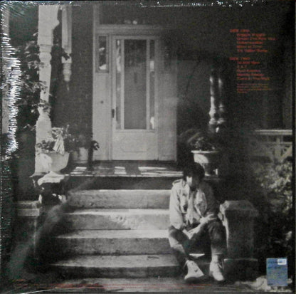 Bob Dylan - Under The Red Sky