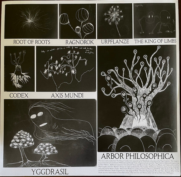 Radiohead - The King Of Limbs (nuovo)