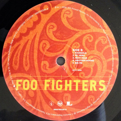 Foo Fighters - Skin And Bones (nuovo)