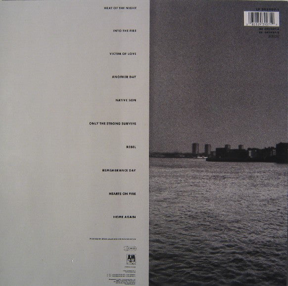 Bryan Adams - Into The Fire