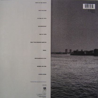 Bryan Adams - Into The Fire
