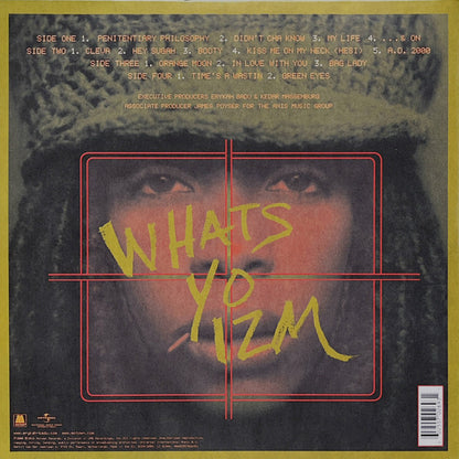Erykah Badu - Mama's Gun (nuovo)