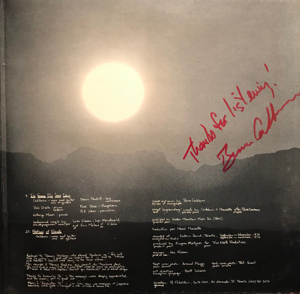 Bruce Cockburn - In The Falling Dark