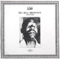 Big Bill Broonzy - Big Bill Broonzy (1935-1939)