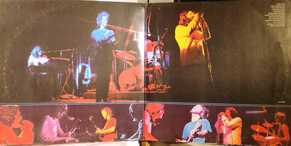 The Doors - Absolutely Live
