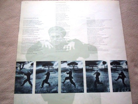 Sting - The Dream Of The Blue Turtles