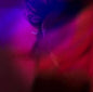 Nite Jewel – Want You Back