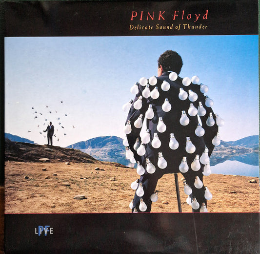 Pink Floyd - Delicate Sound Of Thunder