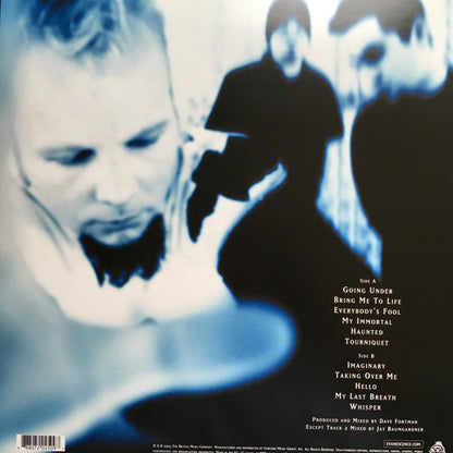 Evanescence - Fallen