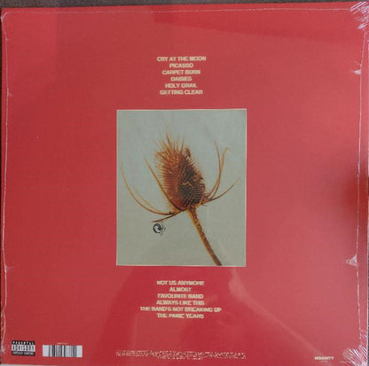 Bradley Simpson - The Panic Years (nuovo)