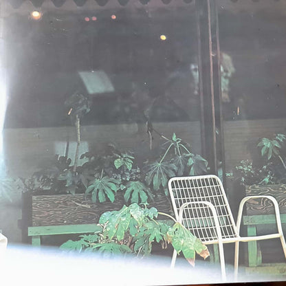 Lucio Battisti - Una Donna Per Amico