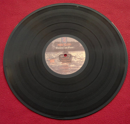 Pink Floyd - A Momentary Lapse Of Reason