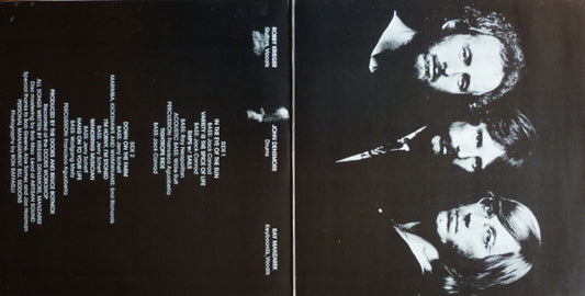 The Doors - Other Voices