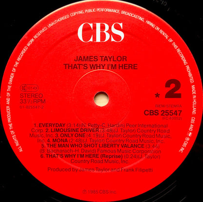 James Taylor - That's Why I'm Here