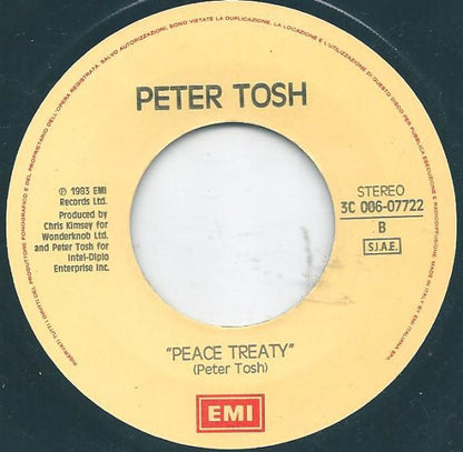Peter Tosh - Johnny B. Goode