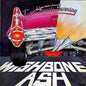 Wishbone Ash - Twin Barrels Burning