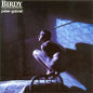 Peter Gabriel - Birdy