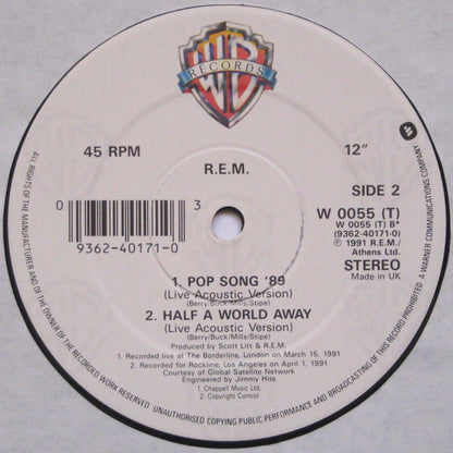 R.E.M. - Near Wild Heaven