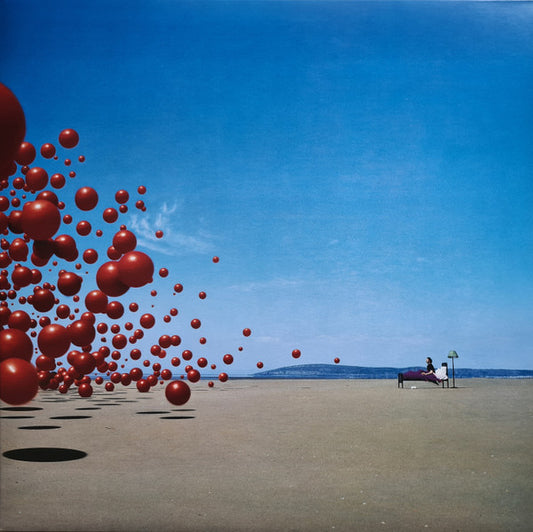 The Cranberries - Wake Up And Smell The Coffee (nuovo)