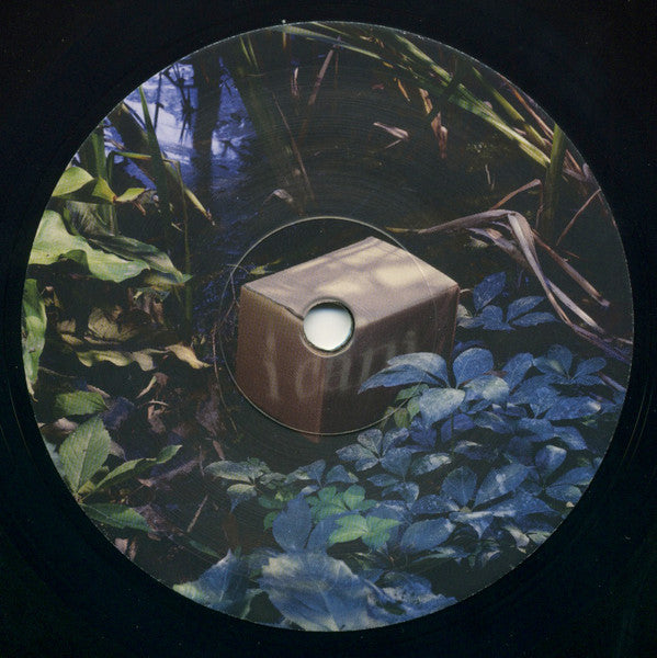 I Cani - Nascosta In Piena Vista / Asperger (nuovo)