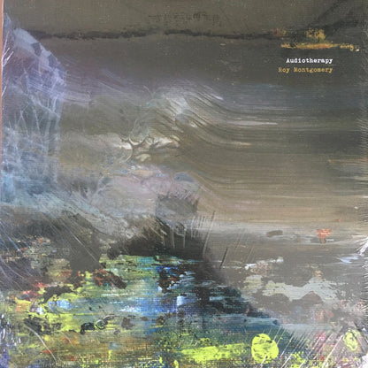 Roy Montgomery - Audiotherapy (nuovo)