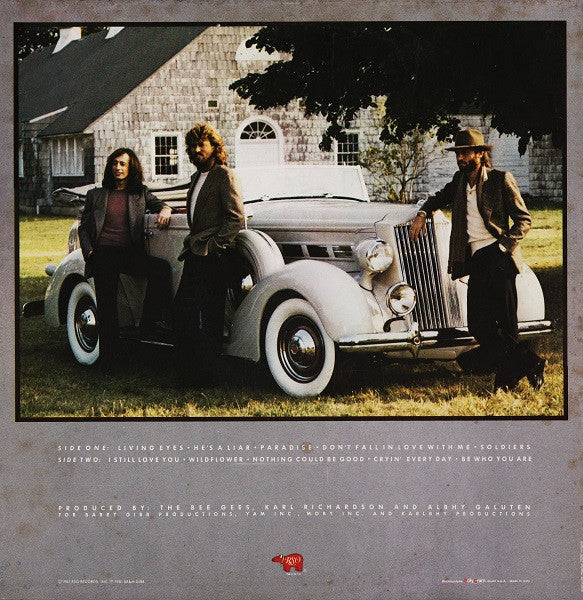 Bee Gees - Living Eyes