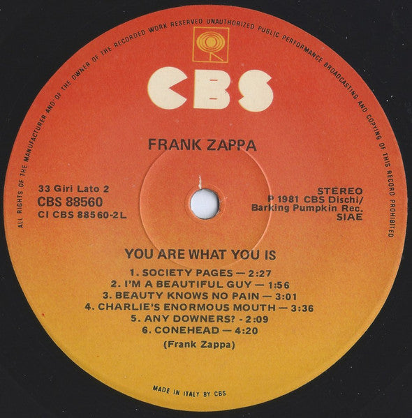 Frank Zappa - You Are What You Is
