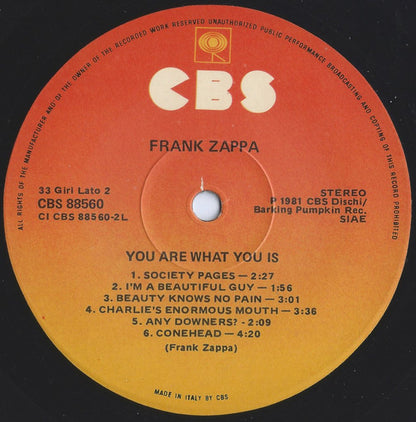 Frank Zappa - You Are What You Is