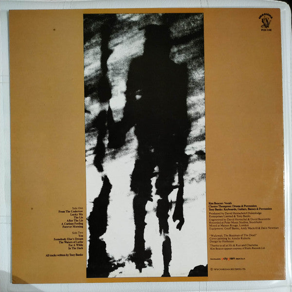 Tony Banks - A Curious Feeling