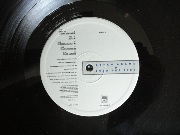 Bryan Adams - Into The Fire